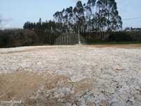 Terreno  para arrendamento