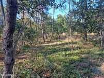 Terreno em Lousã e Vilarinho