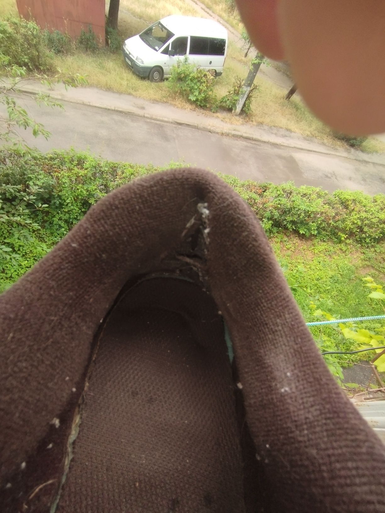 кросівки дуті etnies