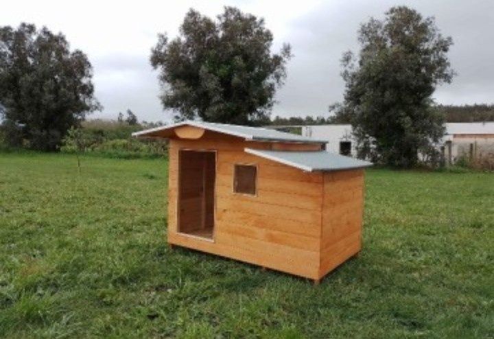 Casotas para cães