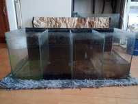 Akwarium hodowlane 85cm x37x35h