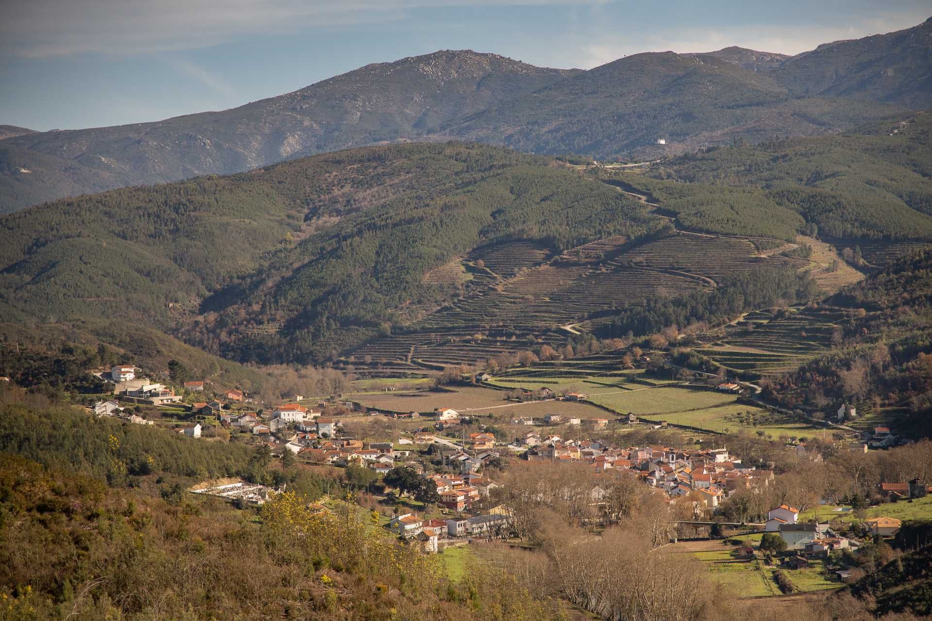 Quinta Rural com casa de campo - 9920 M2 (Vista para Serra da Estrela)