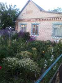 Продам будинок в селі Чистопіль, Дніпропетровської області