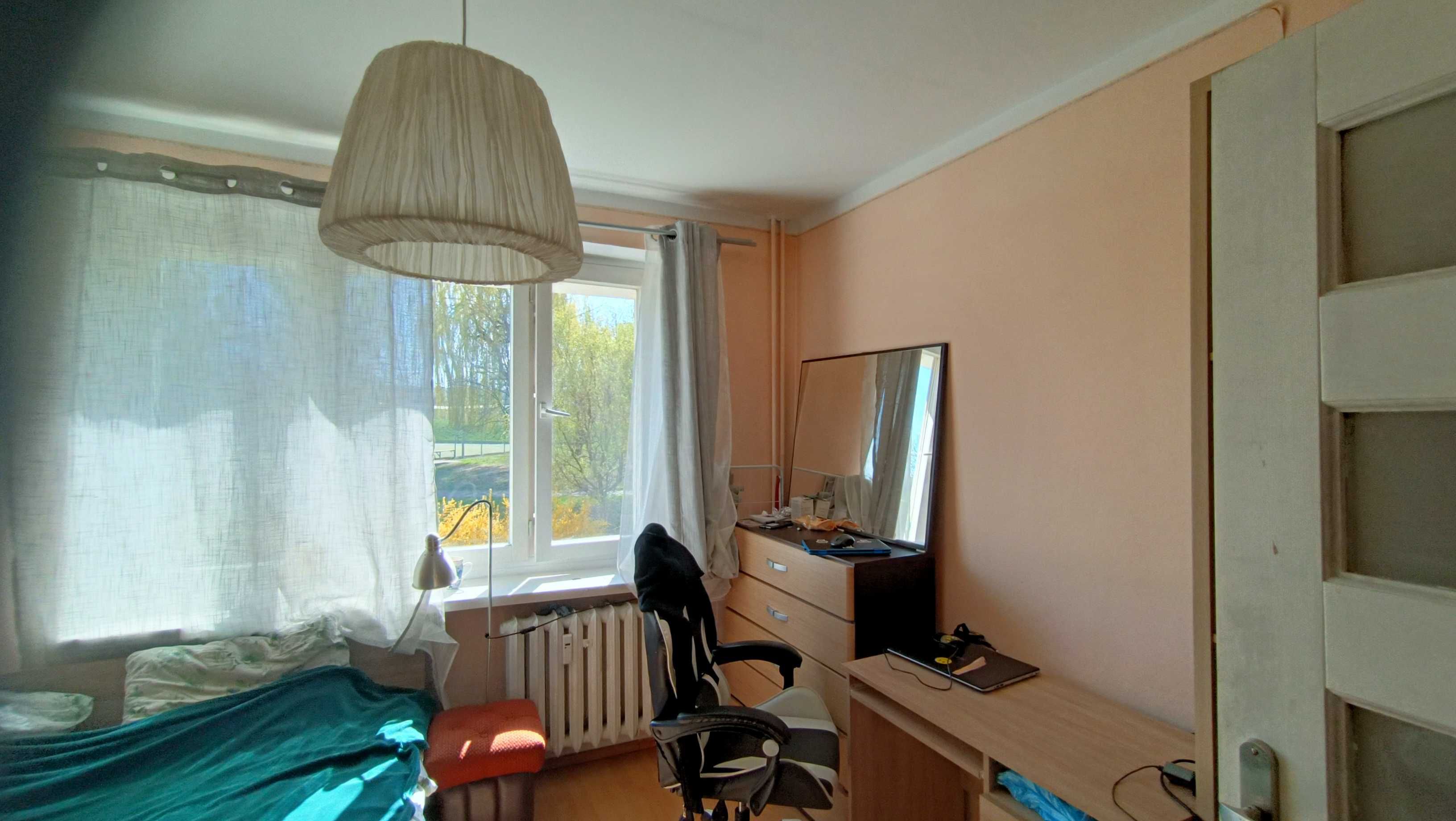 Pokój jednoosobowy na wynajem