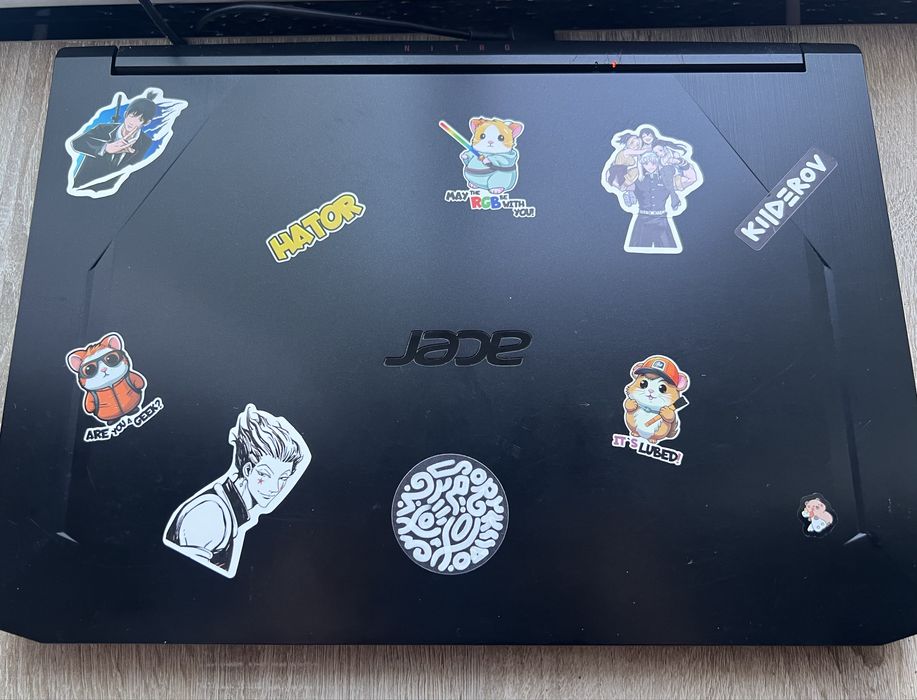 Acer Nitro 5 (Ryzen 5, GTX 1650 Ti, 16 ГБ, SSD 256 ГБ)