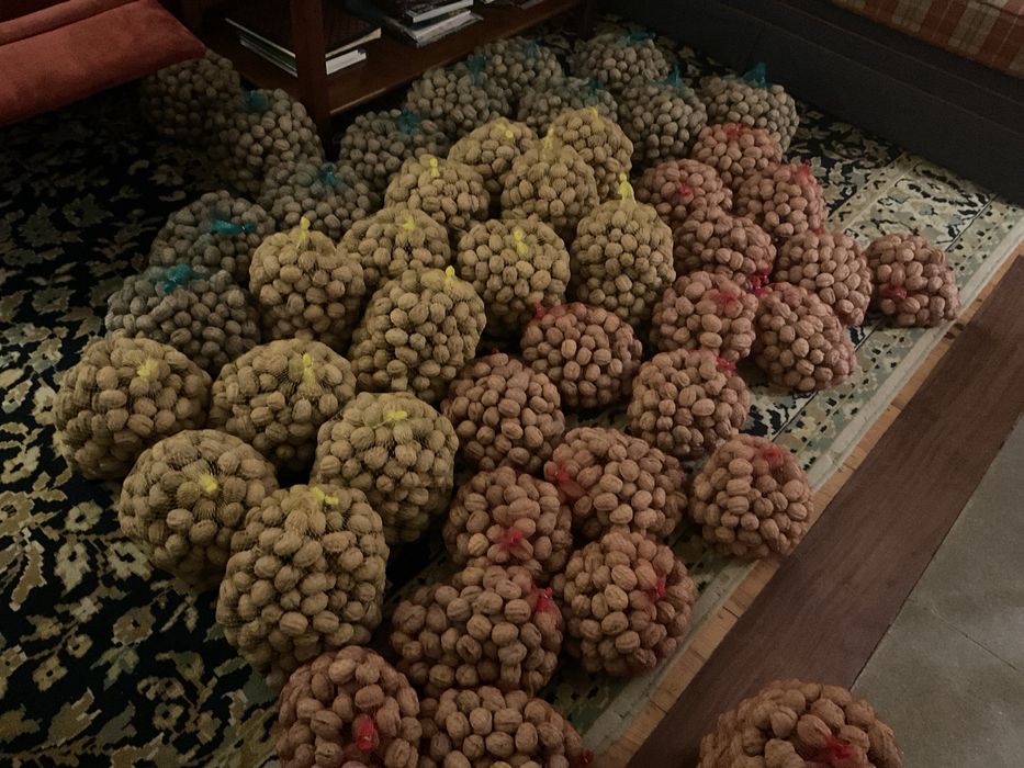 Nozes biologicas franquete calibradas