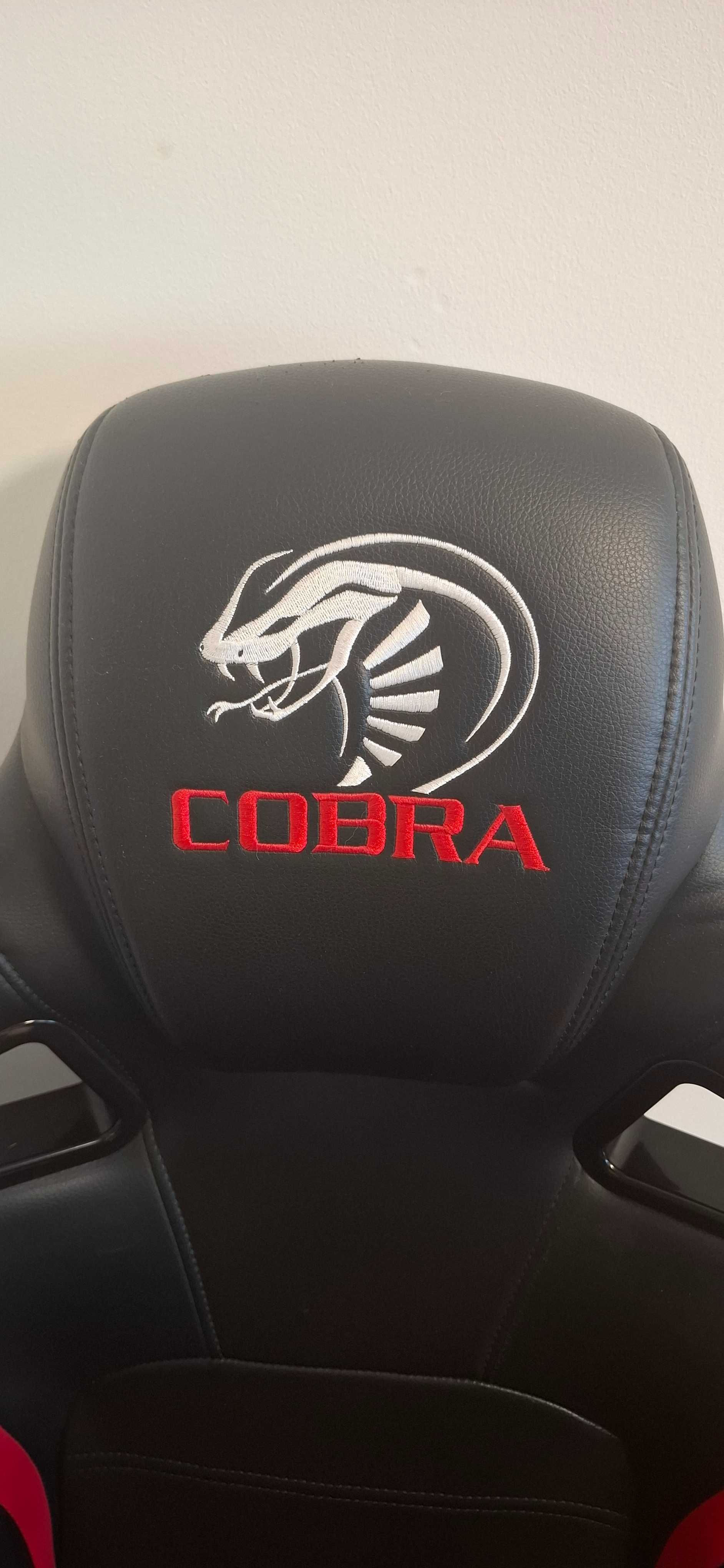 PS4 + Simulador Cadeira / Volante