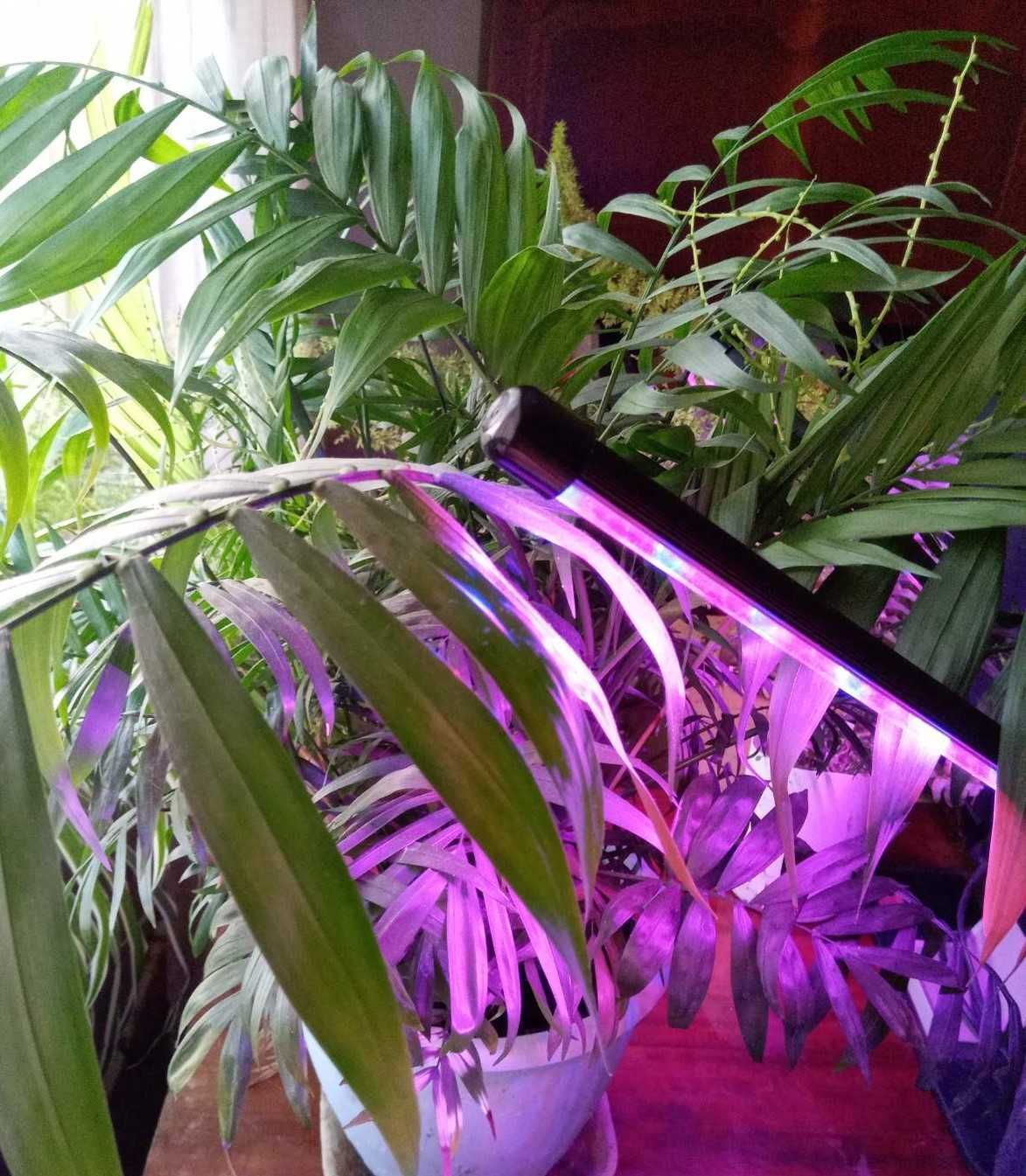 Фито лампа для улучшения роста растений на 2 светильника.