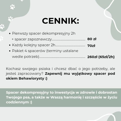 Wyprowadzę Twojego psiaka na WYJĄTKOWY spacer! (Dogsitter, Petsitter)