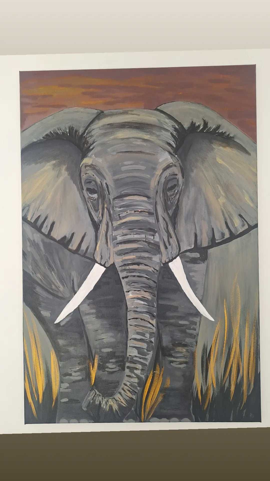 Obraz akrylowy "słoń" 90x60