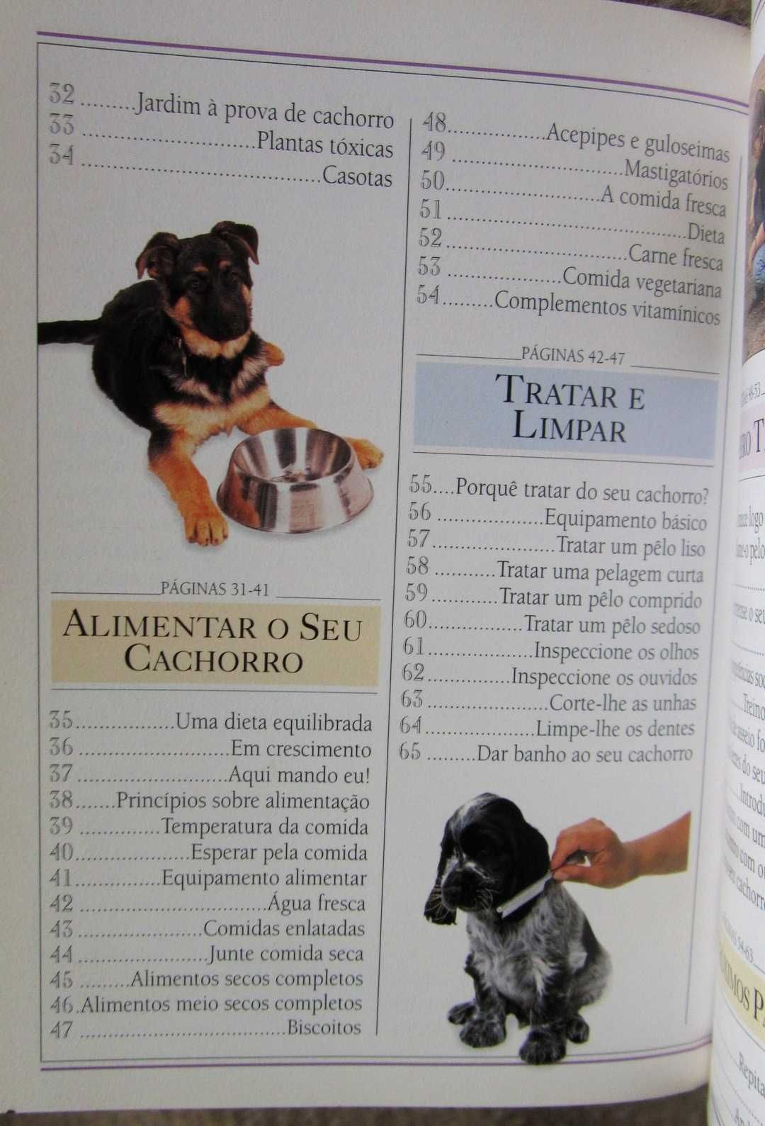 Livro "Como Cuidar do Seu Cachorro"