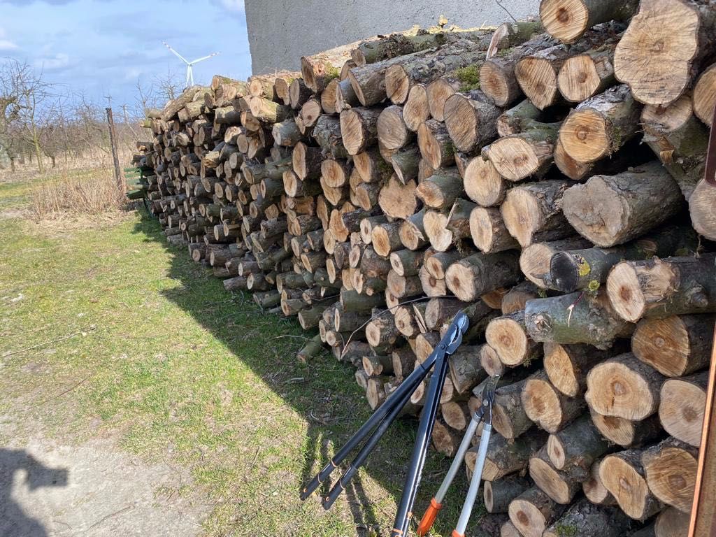Drzewo opalowe kominkowe Jabłoń