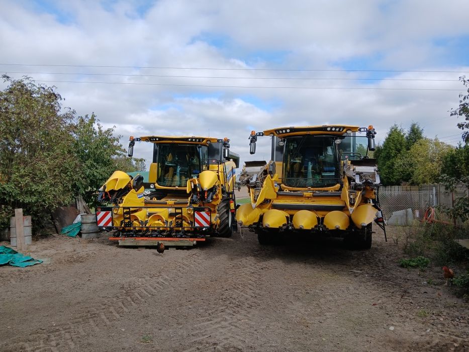 Koszenie zbiór SKUP kukurydzy wywóz obornika gnojowicy siew kombajn4x4