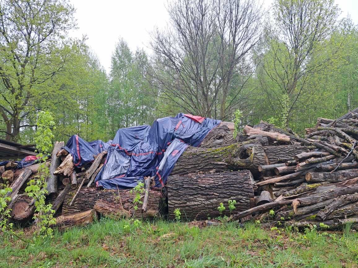 Drewno opałowe 50zł za 1m3