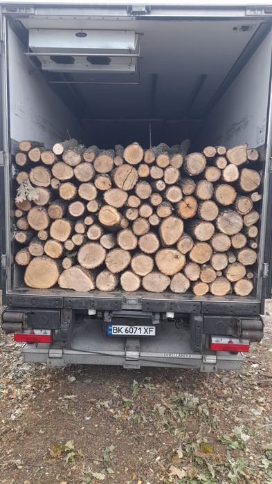 Дрова оптом от 50 куб
