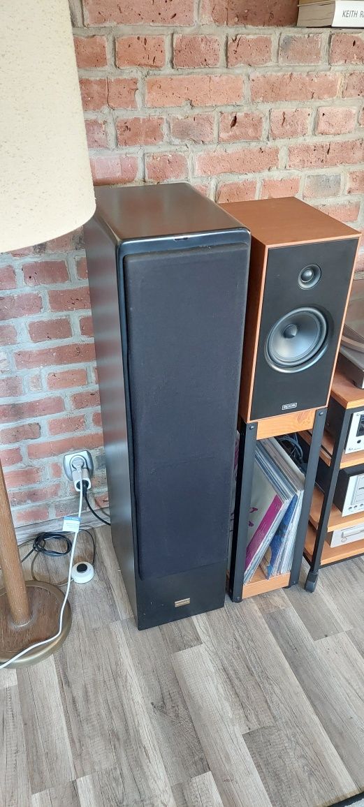 Diora Polaris 180 w obudowie Canton ergo.