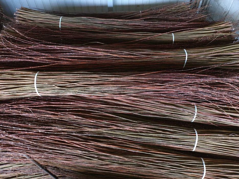 Wiklina zielona sortowana sucha 100-180, 200-240