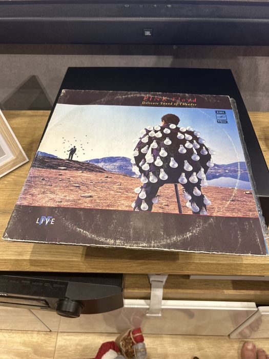 Winyl Pink Floyd Delicate Sound Of Thunder