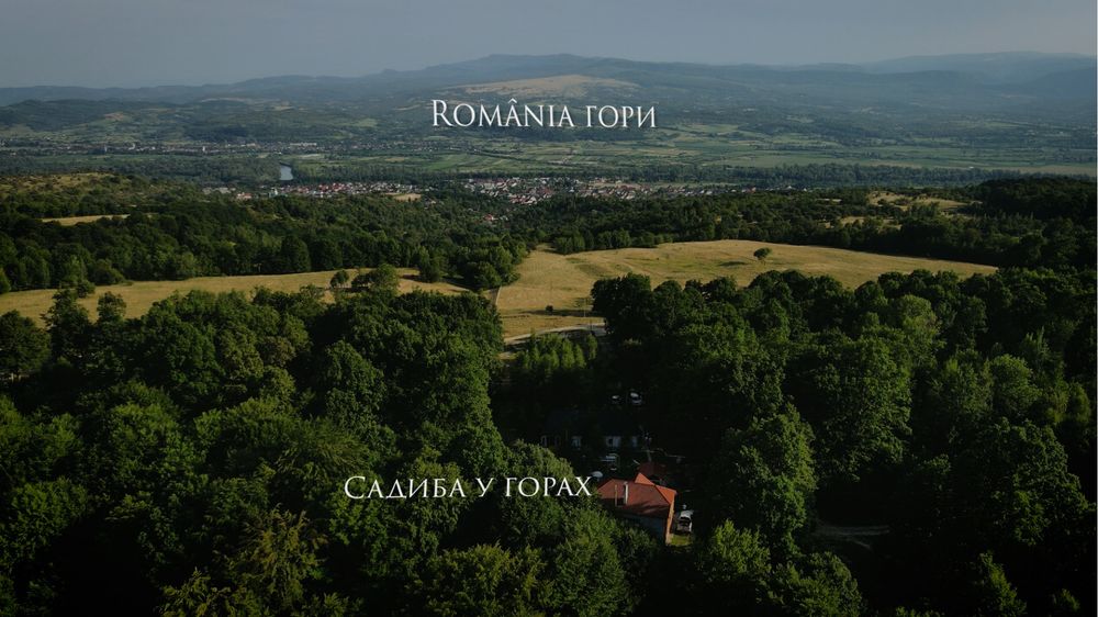 Садиба в лісі чан сауна