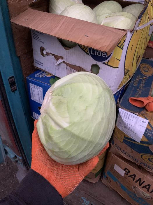 Подаж капусти є доставка