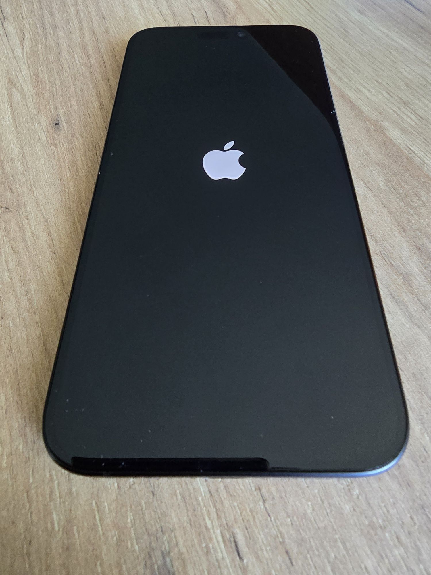 iPhone 15 Pro Max 256 GB