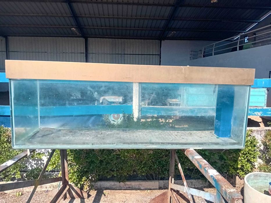 Aquário Gigante 720 Litros