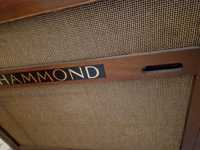 Hammond Organy t100 sprzedam