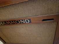 Hammond Organy t100 sprzedam