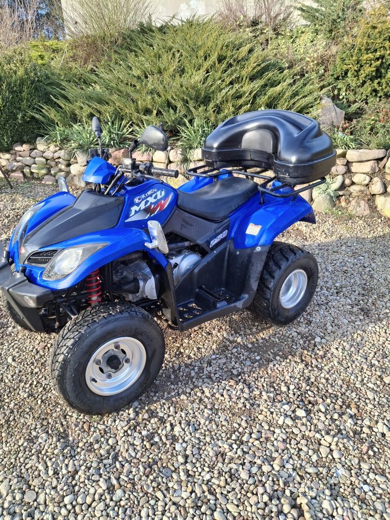 Kymco mxu 250 kymco super stan
