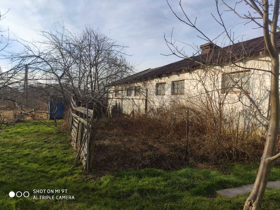 Ферма / Приміщення ферми/ сільсько господарське приміщення