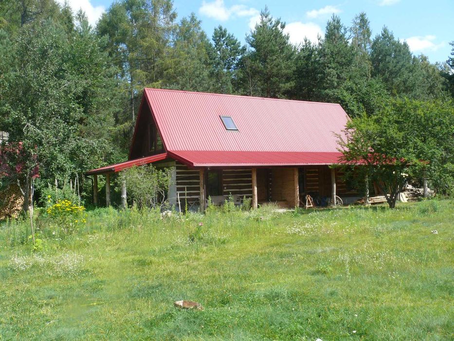 Sprzedam siedlisko na Podlasiu