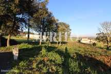 Lote Terreno