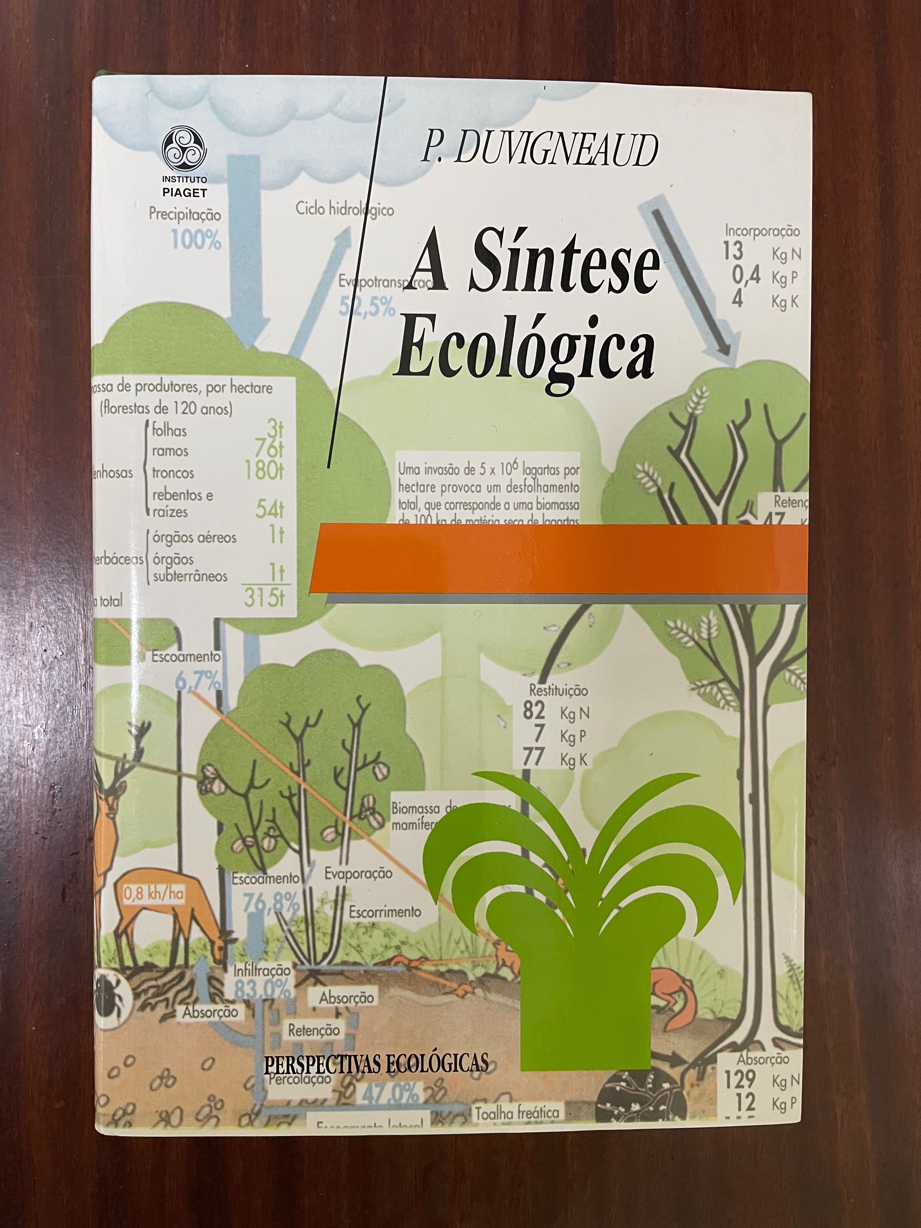 A Síntese Ecológica