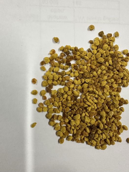 Pyłek pszczeli kwiatowy hurt super jakość