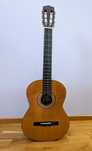 Gitara Rosario 4/4