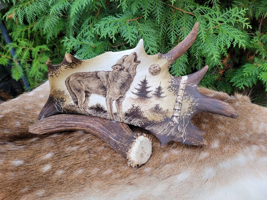 Rzeźba grawer poroże wilk jeleń łoś prezent myślistwo