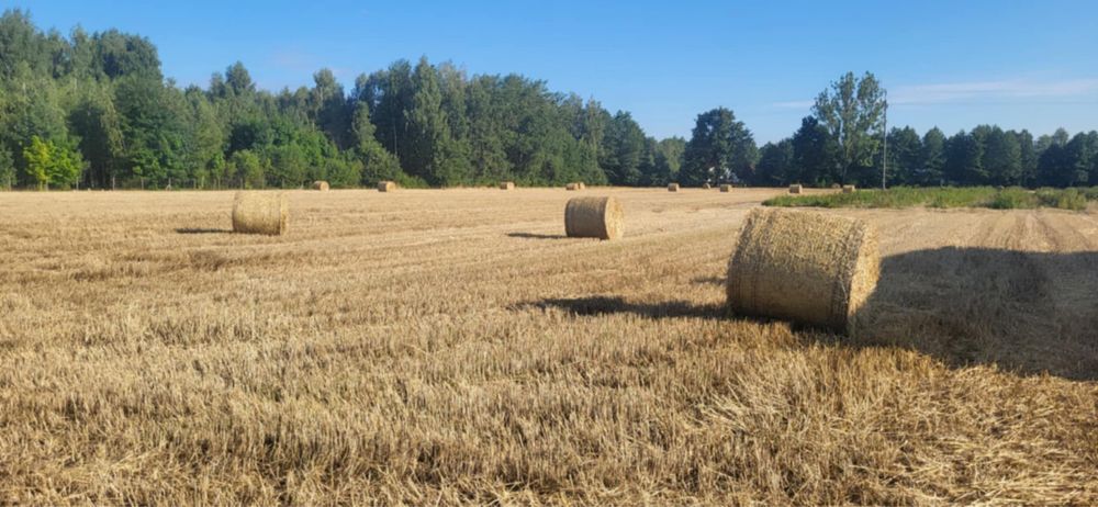 Sprzedam słomę w belach