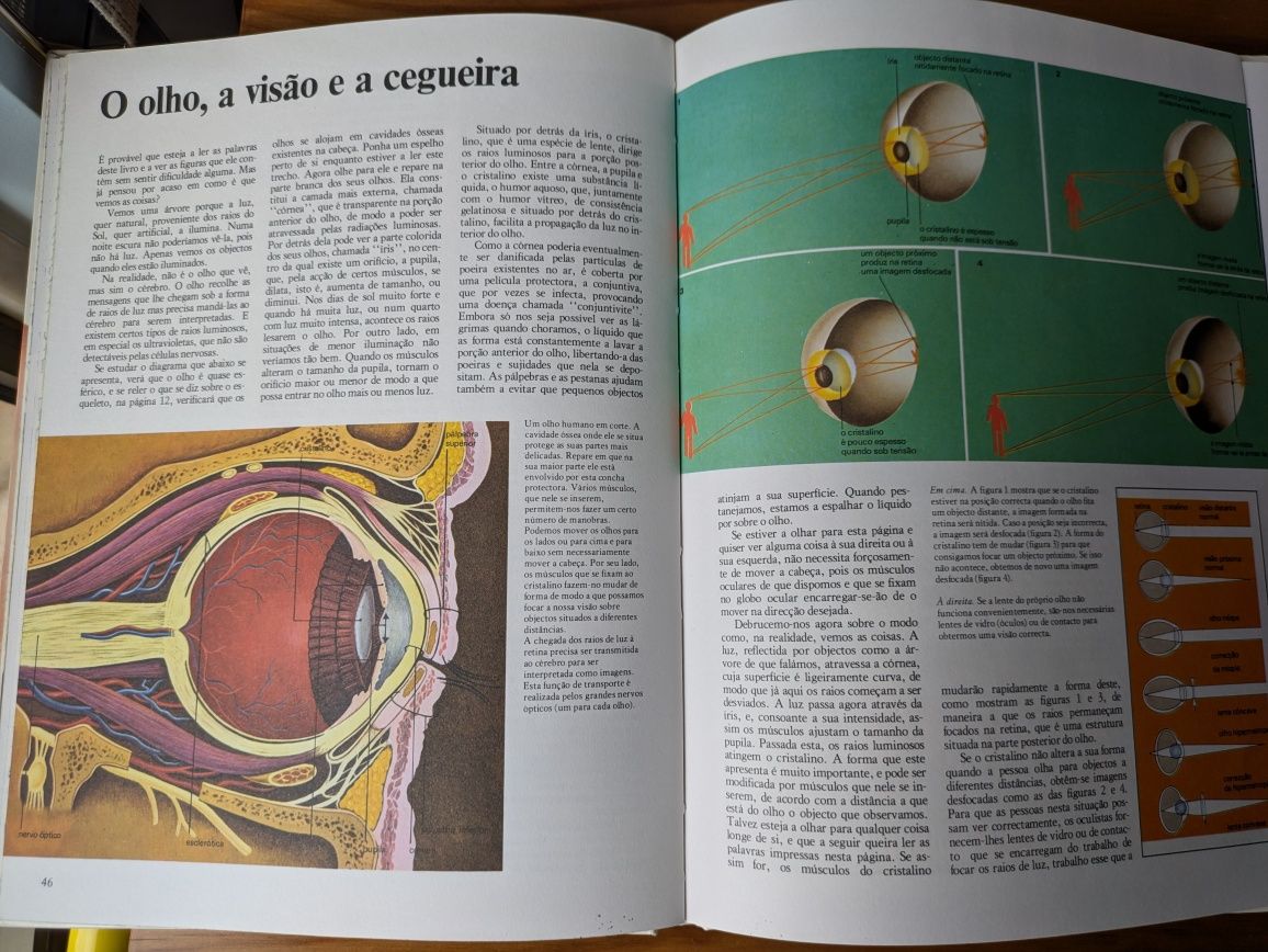 Como Trabalha o Nosso Corpo de Ron Wilson