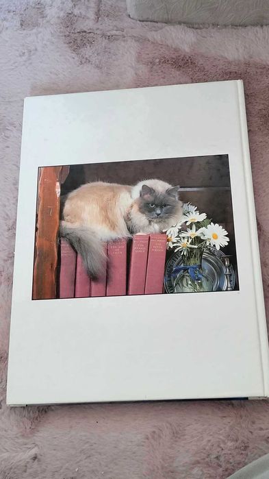 Koty Encyklopedia ilustrowana