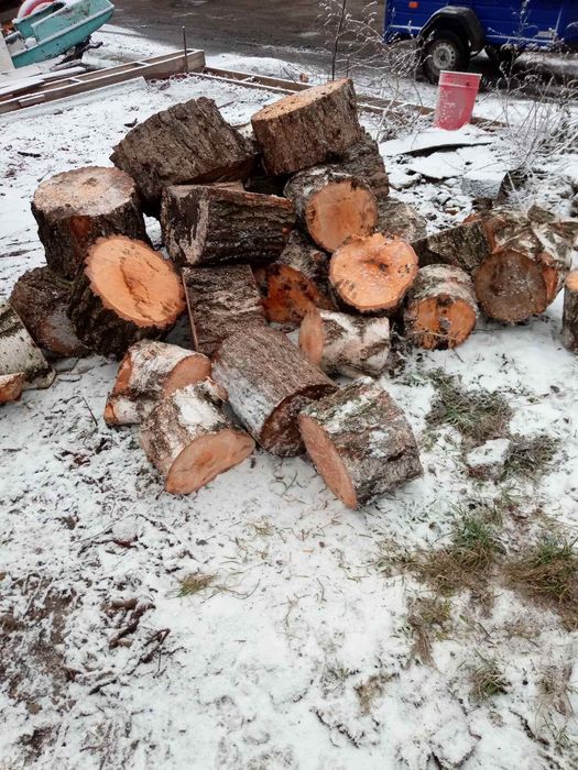 Дрова сухі 500грн куб