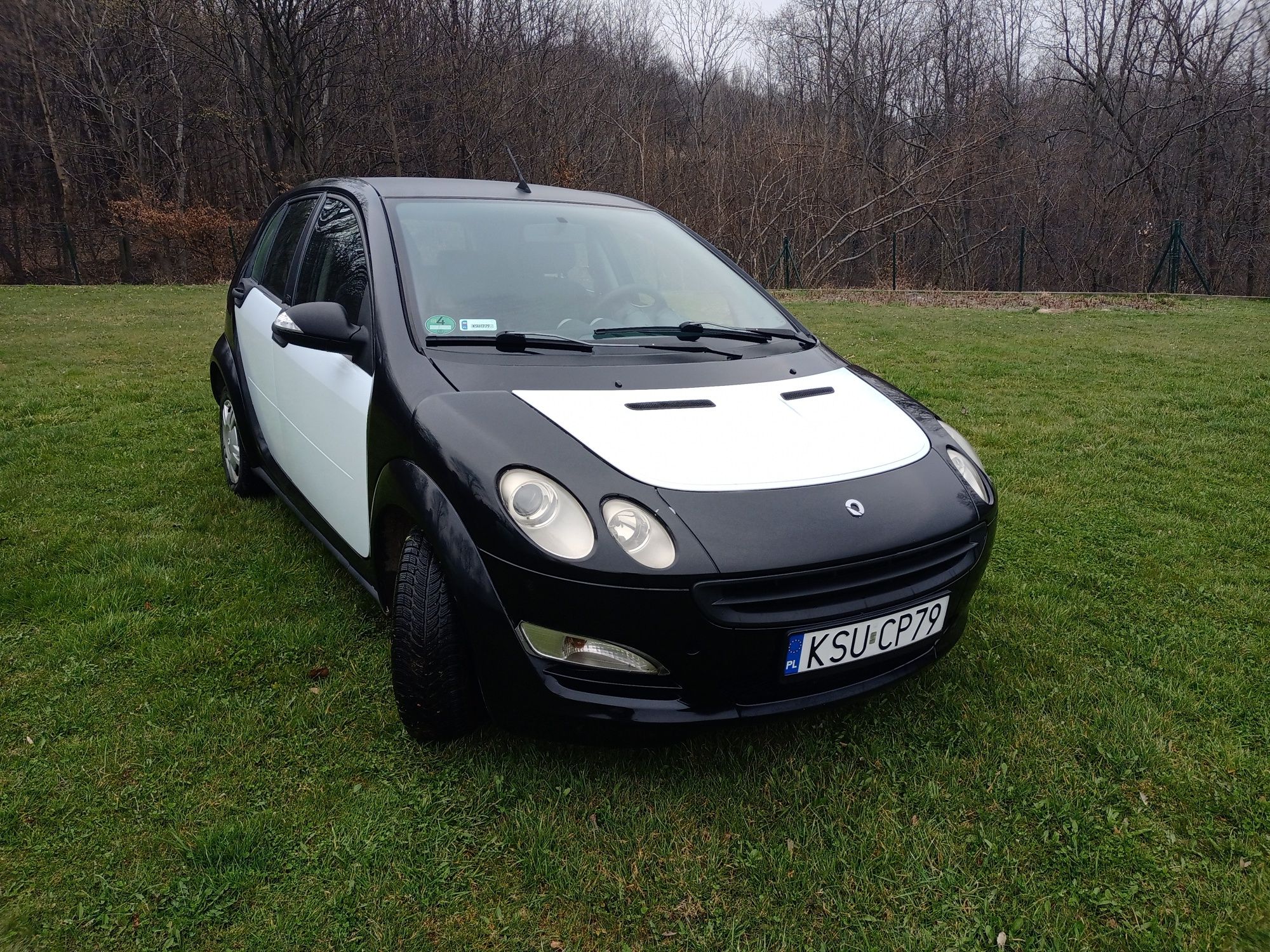 Smart Forfour 1.3