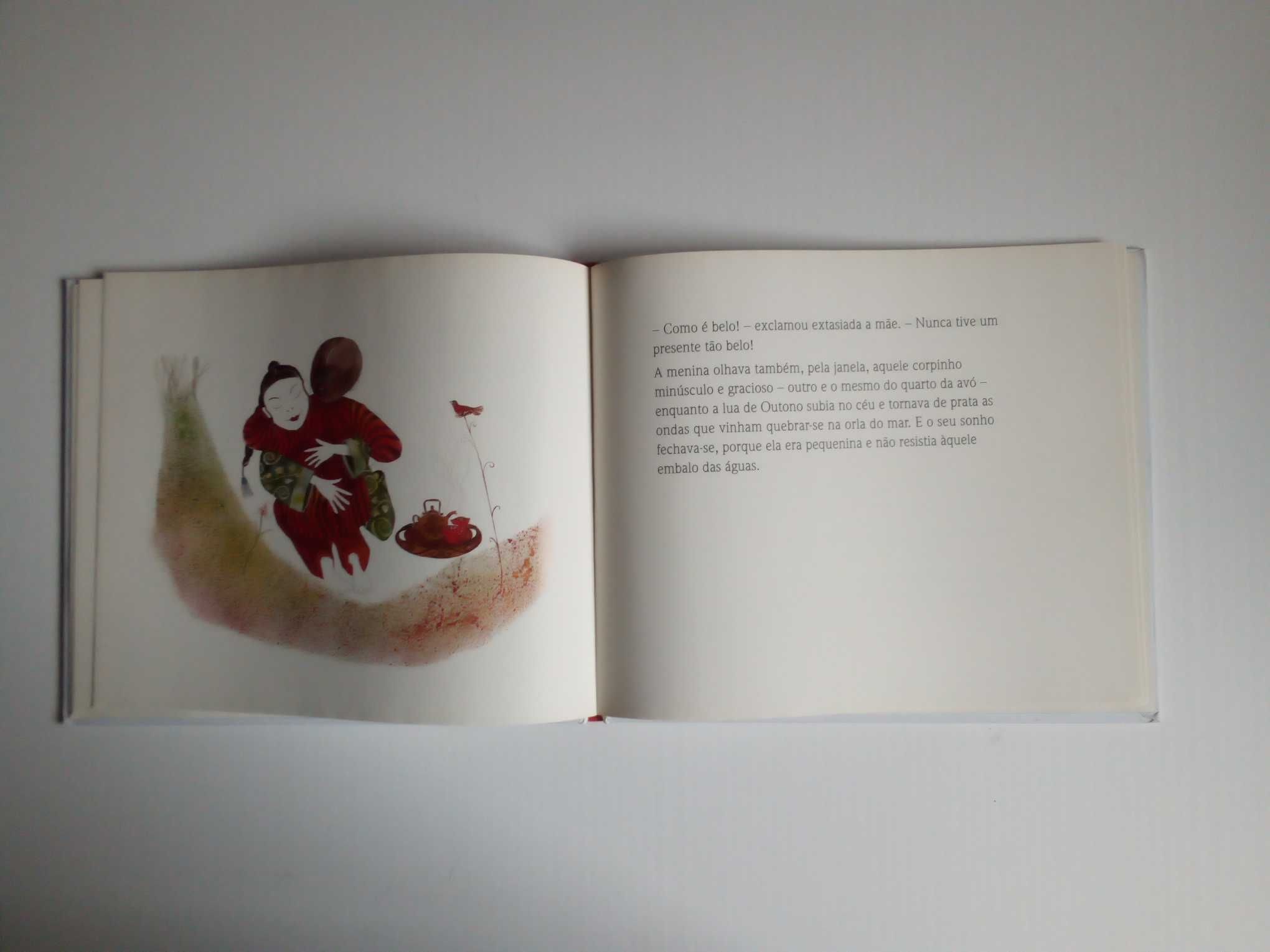 Livros "Sonhos na Palma da Mão" e "Se perguntarem por mim digam q voei