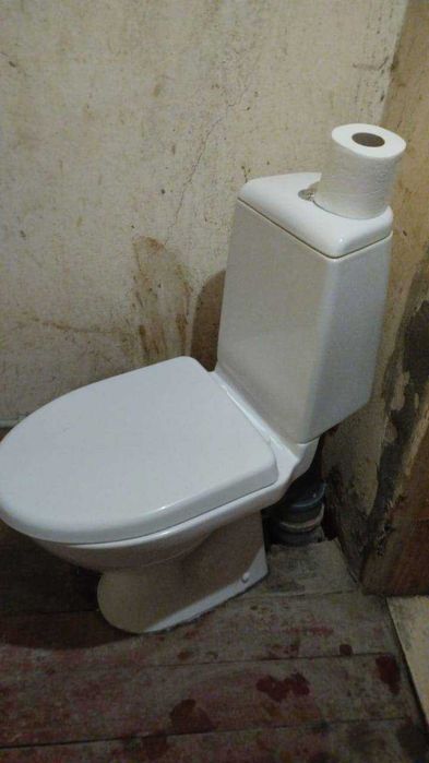 Будинок в селі Писарівка Полтавської області