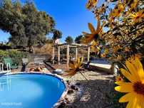 Vende-se: casa de família muito grande com grande jardim e piscina.