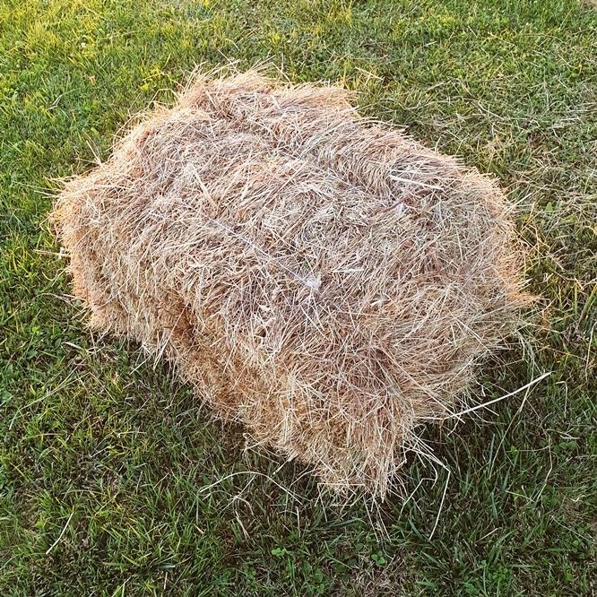 Kostki siana i słomy - naturalne