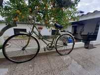 Bicicleta pasteleira