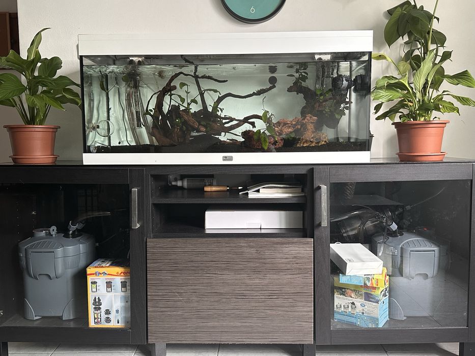 Aquario 200 litros