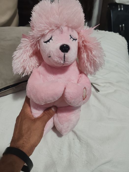 Ursinho que reza o pai nosso muito lindo