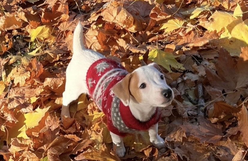 Красивенная девочка ищет маму