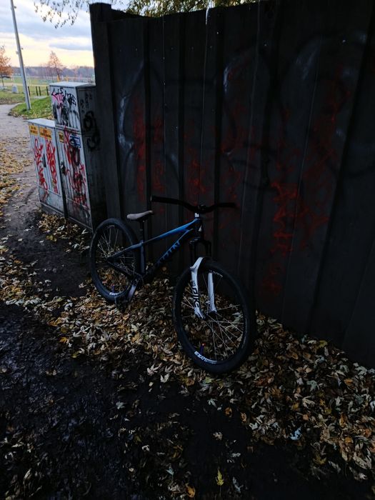 Marin alcatraz doinwestowany